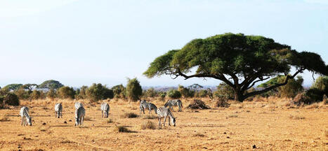 Transforming climate challenges into opportunities&nbsp; | Veille UrbaLyon :  Les transitions dans les Pays du Sud | Scoop.it