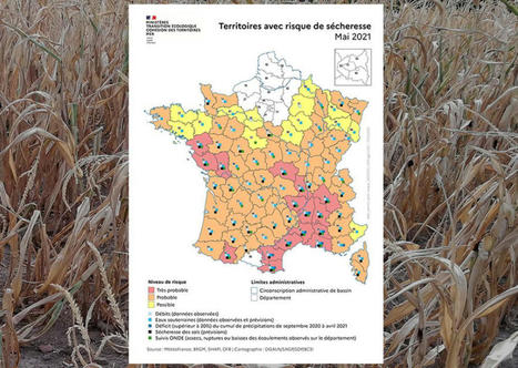 Un nouveau comit&eacute; pour mieux anticiper le risque de s&eacute;cheresse | Environnement et technique | Scoop.it