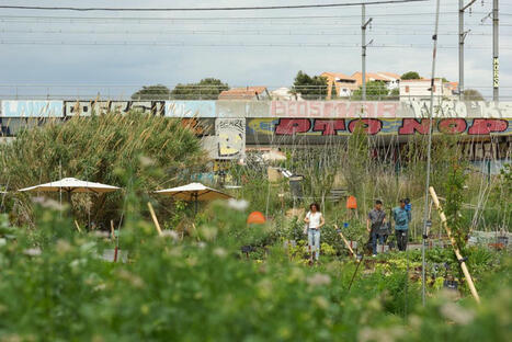 "S'il n'y a pas de volonté politique forte, c'est compliqué": les défis de l'agriculture urbaine | Paysage - Agriculture | Scoop.it