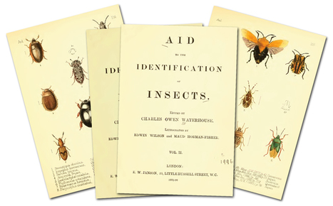 Aid to the identification of insects in 2 volumes | Insect Archive | Scoop.it
