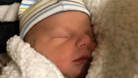 Baby Snow arrives during record-breaking N.L. blizzard | CBC News | Name News | Scoop.it