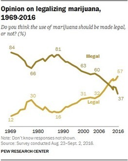 Support for marijuana legalization continues to rise | Marijuana, Cannabis, Longevity, Legacy | Scoop.it