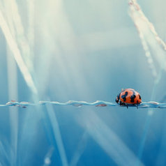 Dream World by Arief Perdana | My Photo | Scoop.it