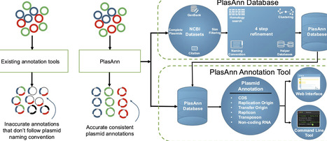 PlasAnn: a curated plasmid-specific database and annotation pipeline for standardized gene and function analysis | nar | RMH | Scoop.it