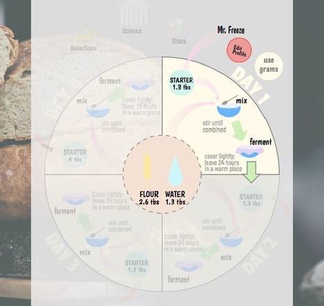 Guia quatro rodas rodoviario 2013 download