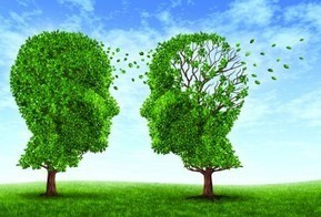 How EMDR Therapy Opens a Window to the Brain | Brain World | EMDR Therapy | Scoop.it