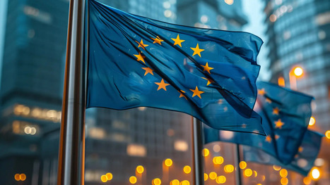 Europe Endorses Olive Oil Standard Changes Despite Industry Divide | OLIVE NEWS | Scoop.it