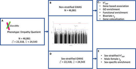 Genome-wide analyses of self-reported empathy: correlations with autism, schizophrenia, and anorexia nervosa | Empathy Movement Magazine | Scoop.it