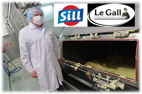 Sill : à la laiterie Le Gall, la fabrication du beurre n'a pas changé en 100 ans | Lait de Normandie... et d'ailleurs | Scoop.it