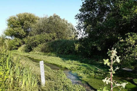 La loi visant visant &agrave; faciliter la mise en &oelig;uvre des objectifs de lutte contre l'artificialisation des sols est publi&eacute;e | Veille juridique du CDG13 | Scoop.it