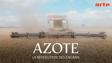 [Arte] Azote, la r&eacute;volution des engrais | Les laboratoires du CNRS Occitanie Ouest dans la presse | Scoop.it