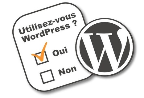 Comment insérer un sondage sur votre site WordPress ? | TIC, TICE et IA mais... en français | Scoop.it