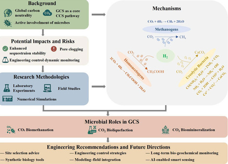 Microbial processes in geological carbon sequestration: Mechanisms, methods, and engineering implications | iSci | RMH | Scoop.it