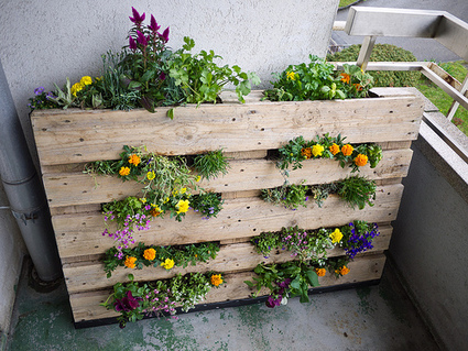 Downshifting ecosostenibile: Pallet in giardino | Consumo Critico, Decrescita, Riuso e Riciclo Creativo | Scoop.it