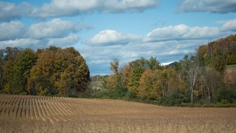 Sewage sludge moratorium doesn't get vote in N.Y. Assembly | Industry 411 - Waste Management | Scoop.it