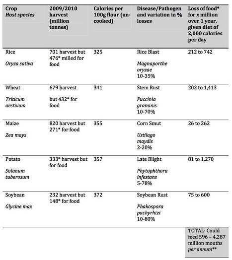 Food security and crop losses due to fungal/oomycete diseases | Plants and Microbes | Scoop.it