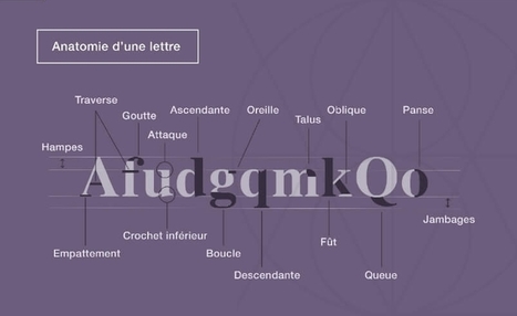 Infographie : l'anatomie des lettres en typographie - Blog du Modérateur | Formation Agile | Scoop.it