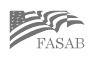 Current FASAB Handbook◄Click here | Basic Accounting Concepts | Scoop.it