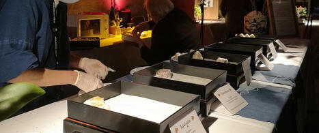 Auch va fêter le Japon le 21 novembre | Professionnels du tourisme du Grand Auch Cœur de Gascogne | Scoop.it