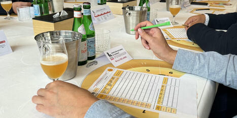 Concours des meilleures bières du Hainaut : deux brasseries de la région du Centre primées | Ecodéveloppement territorial | Scoop.it