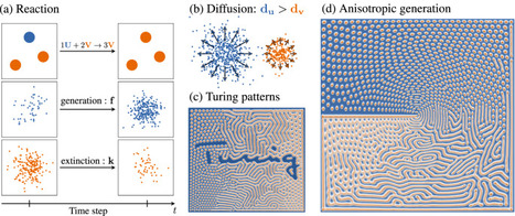 Morphogenetic Metasurfaces: Emergence of Self-Organized Anisotropic Patterns | Amazing Science | Scoop.it