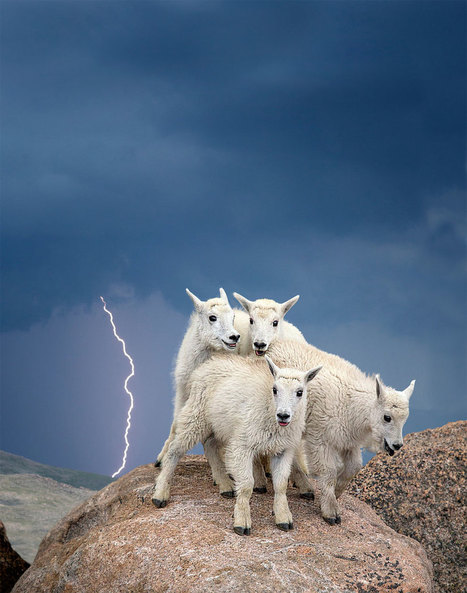 Breathtaking Photos Of Natural Beauty From The Smithsonian's Wilderness Forever Photo Contest | Everything Photographic | Scoop.it