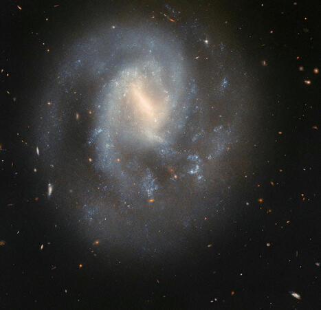 Hubble Studies a Spiral’s Supernova Scene | Universo y Física Cuántica | Scoop.it