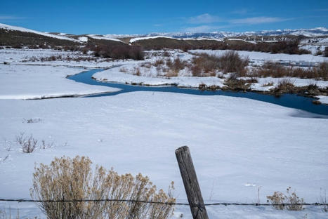 Colorado Expects Sports Betting Taxes To Double This Fiscal Year | Sports Betting | Scoop.it