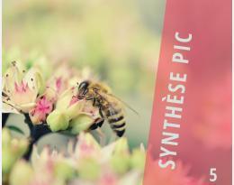 Abeilles et pollinisateurs : des atouts essentiels, à préserver pour l'agriculture - Ecophytopic | Pour innover en agriculture | Scoop.it