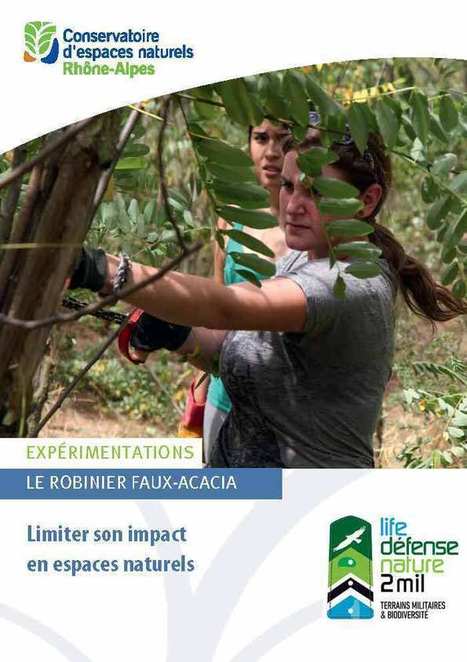 Le robinier faux-acacia – Limiter son impact en espaces naturels | ECOLOGIE - ENVIRONNEMENT | Scoop.it