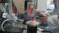 3D-Drucker macht menschliche Organe in Minigröße | 21st Century Innovative Technologies and Developments as also discoveries, curiosity ( insolite)... | Scoop.it