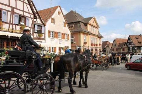 Article : L'oignon et la tradition alsacienne | Salon du Cheval | Scoop.it