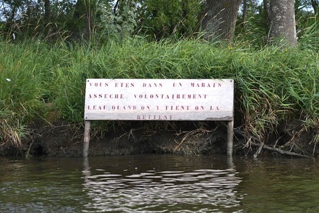 « Des oiseaux crèvent par milliers, c’est un carnage » : les marais de Loire-Atlantique meurtris par le botulisme | Les Colocs du jardin | Scoop.it