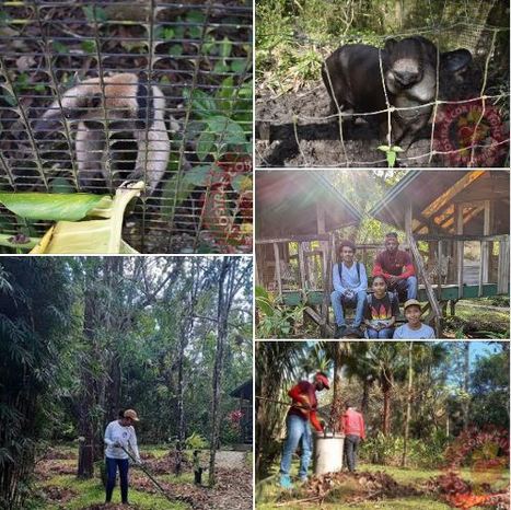 SHJC Helps Clean The Best Little Zoo In The World | Cayo Scoop!  The Ecology of Cayo Culture | Scoop.it