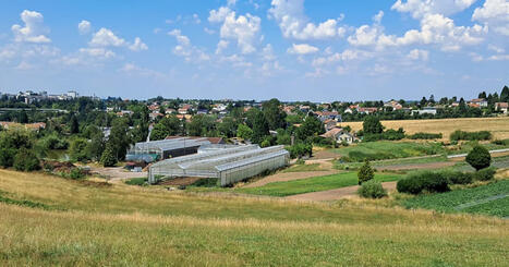 Epinal freine l&rsquo;urbanisation d&rsquo;une ZAC et rend 100 hectares &agrave; la nature | ZAN - Z&eacute;ro artificialisation nette | Scoop.it