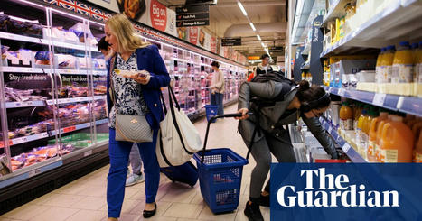 UK households face second year without improved living standards, says IMF | Economics | The Guardian | Macroeconomics: UK economy, IB Economics | Scoop.it