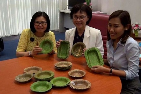 Une trouvaille thaïlandaise : les assiettes en feuilles d’arbre ! | IPCI : Ingénierie de Produits à l'interface Cuisine-Industrie | Scoop.it