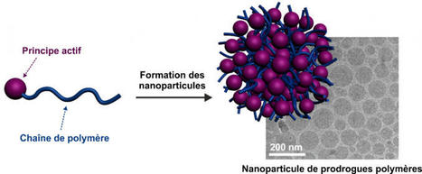 Entretien avec Julien Nicolas : Les nanom&eacute;dicaments, &agrave; petite &eacute;chelle pour de grandes applications | Life Sciences Universit&eacute; Paris-Saclay | Scoop.it