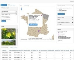 Centre de ressources national sur la flore de France | Biodiversité | Scoop.it