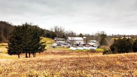 We Need to Relearn That We're a Part of Nature, Not Separate From It - BillMoyers.com | Peer2Politics | Scoop.it