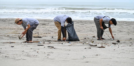 Combiner préservation de la biodiversité et développement économique : leçons indonésiennes | Biodiversité | Scoop.it