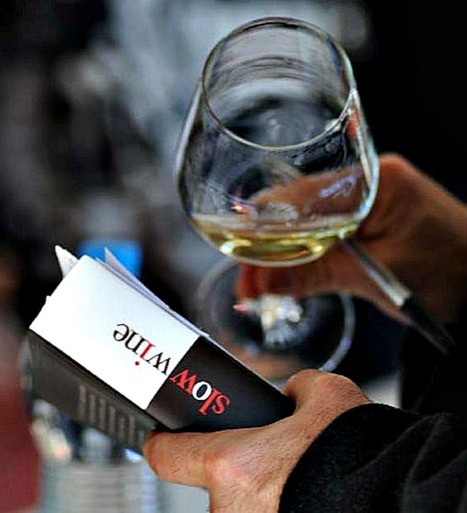 Best SLOW WINE Wines 2013 Le Marche Region | Essência Líquida | Scoop.it