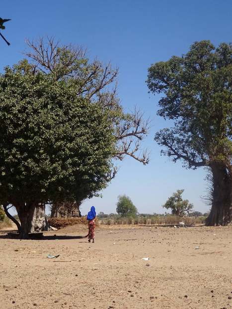 It&rsquo;s Amazing What Women With Energy Can Do | Tampa Florida Management Consulting | Scoop.it