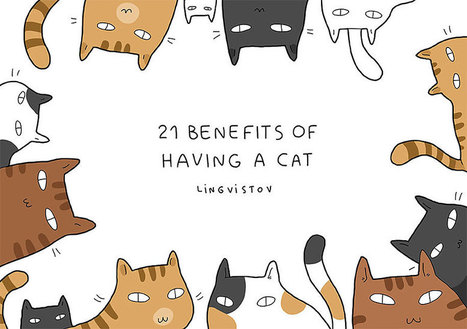 21 Reasons To Have A Cat | 16s3d: Bestioles, opinions & pétitions | Scoop.it