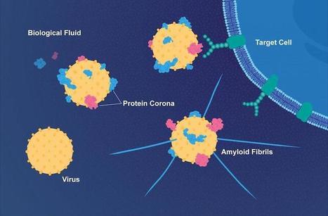 Viral Vaccines Could be Weapons Against Alzheimer&rsquo;s Disease | Virus World | Scoop.it