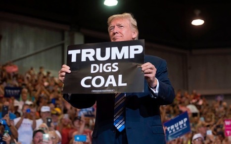Donald Trump sends Barack Obama's climate change rules up in smoke | Microeconomics: IB Economics | Scoop.it