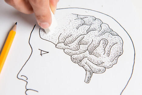 Descubren c&oacute;mo una variante gen&eacute;tica vinculada al Alzheimer da&ntilde;a el aislamiento de las neuronas | Alzheimer y m&aacute;s (Bolet&iacute;n n&ordm; 99) | Scoop.it