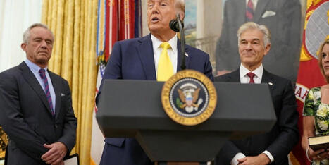 'Bizarre': Scientists stunned as Trump turns Covid website 'into a conspiracy theory page' - AlterNet | Operation Deimos | Scoop.it