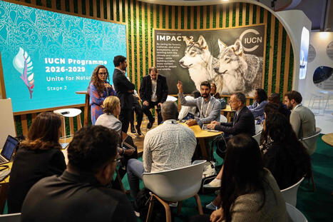 L’appel à « ne pas disséminer des organismes sauvages génétiquement modifiés » rejeté lors du Congrès mondial sur la nature | EntomoNews | Scoop.it