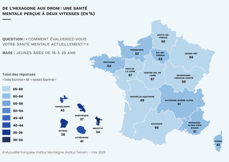 Santé mentale des jeunes : de fortes inégalités selon les régions | L'actualité de la politique de la ville | Scoop.it